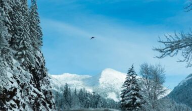 British Columbia becomes first province to announce its nomination allocation for 2026