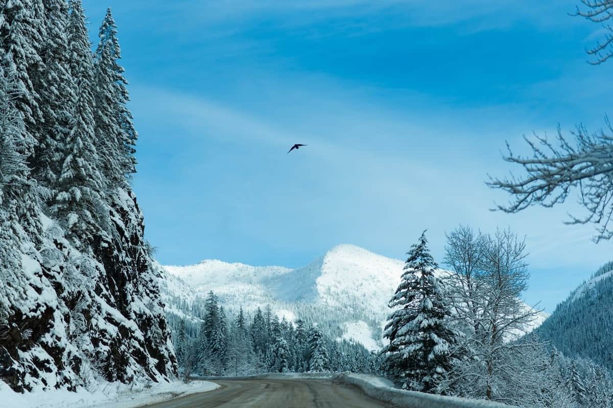 British Columbia becomes first province to announce its nomination allocation for 2026