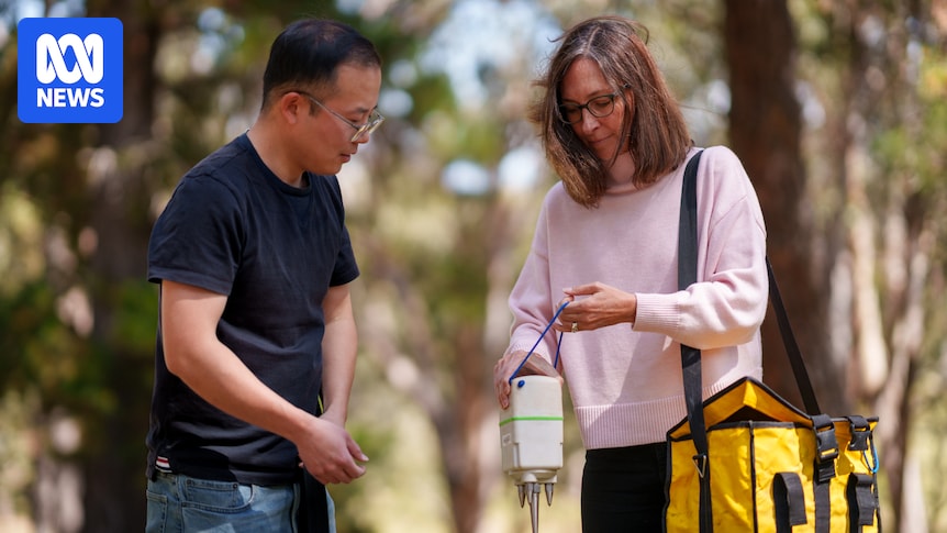 Lake George hides an earthquake fault zone, and scientists are using your road noise to see it