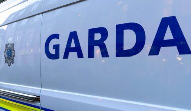 Breaking: Gardaí recover 18 stolen cattle following search operation