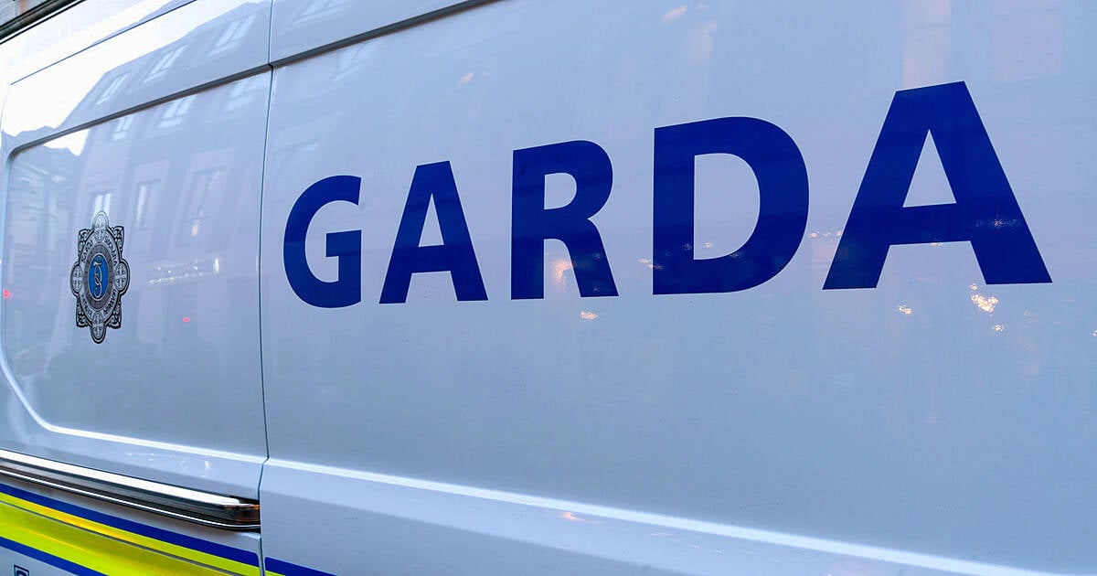 Breaking: Gardaí recover 18 stolen cattle following search operation