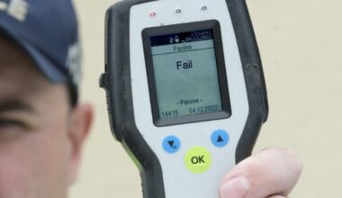 Driver and young child flee cops in South Dunedin