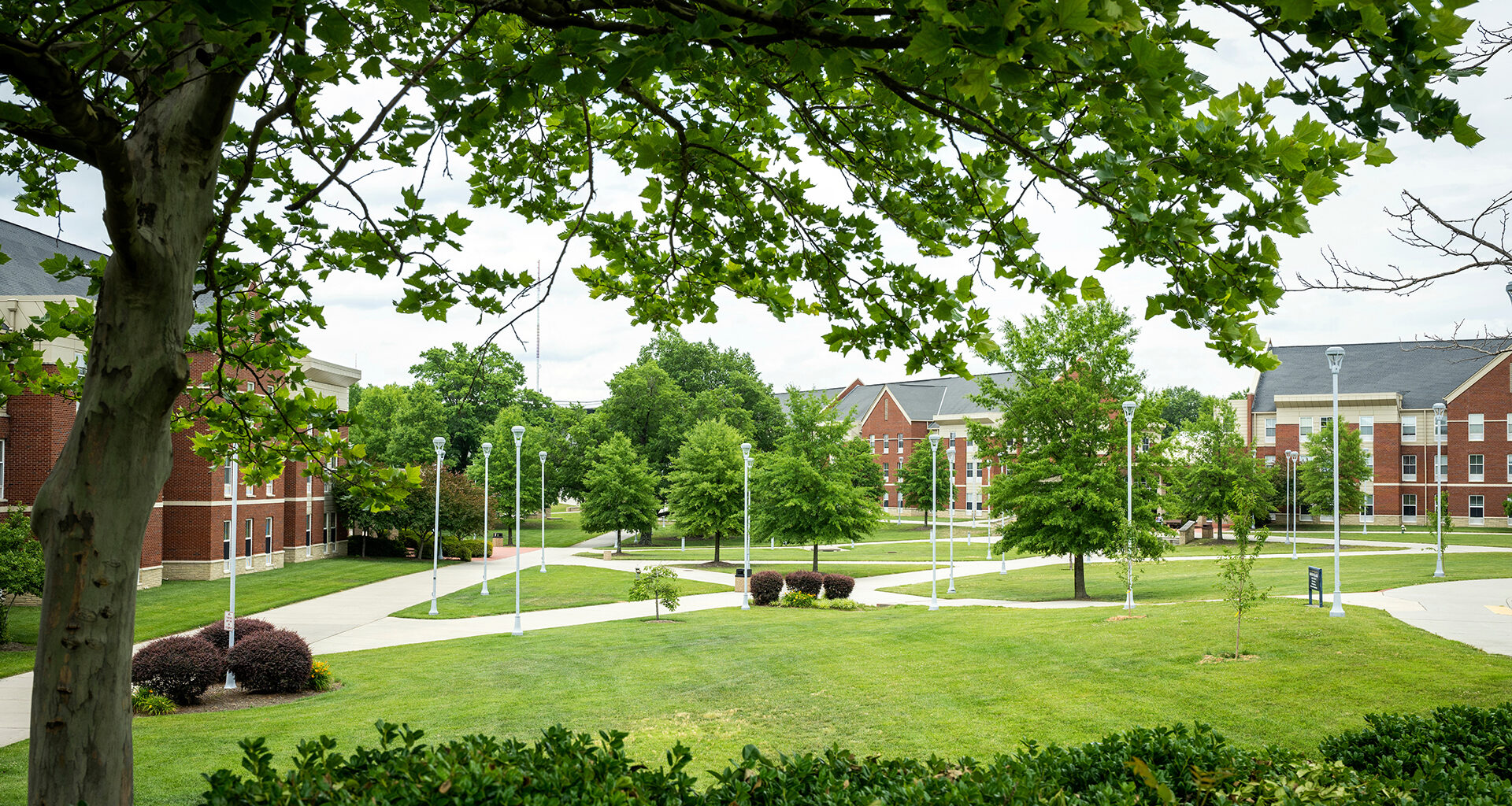 Moody’s Reaffirms A&T Aa3 Credit Rating, Describes Outlook as ‘Stable’