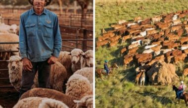 Foreign investors snap up Australian farmland larger than 148 countries combined
