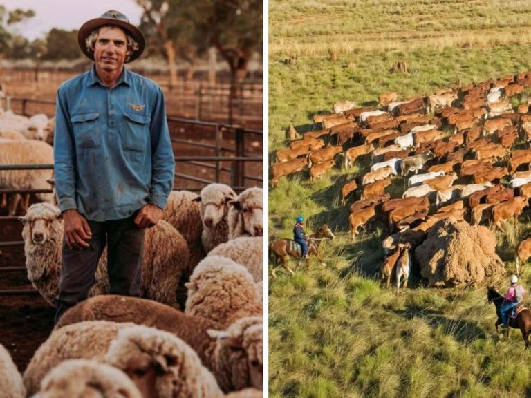 Foreign investors snap up Australian farmland larger than 148 countries combined