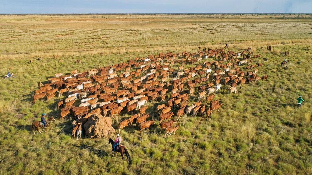 Supplied Real Estate Kalyeeda Station, Derby, WA