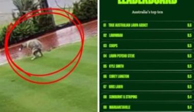 ‘Ridiculous’: Australia’s best lawn battles neighbourhood pooping dog