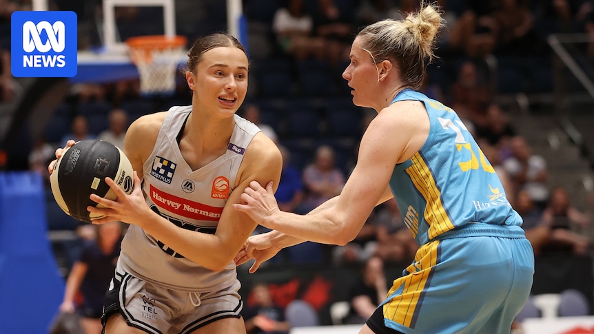 Bonnie Deas putting WNBL lessons to use in US college basketball with University of Arkansas