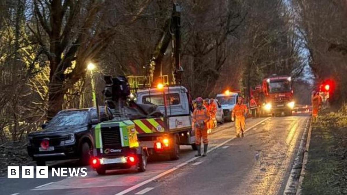 Works vehicles parked on a road lined with trees