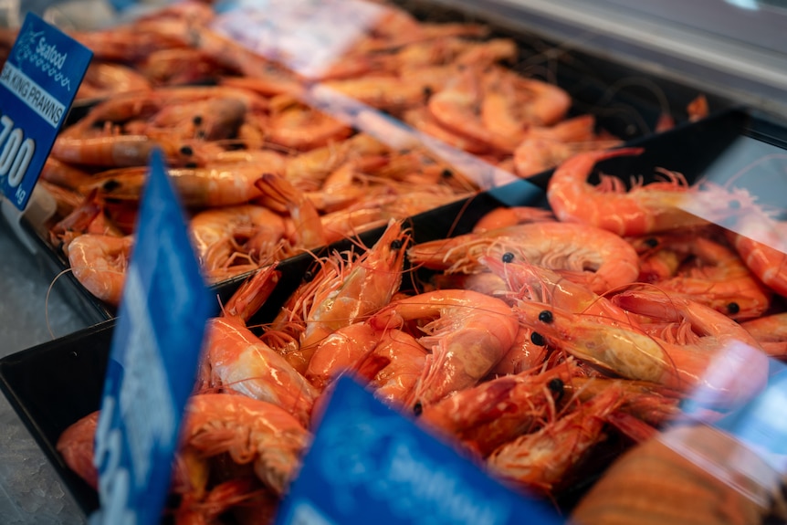 Prawn trays sit in a store display