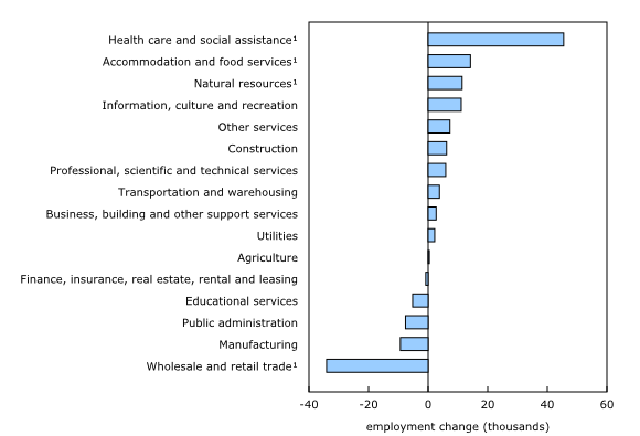 Chart 3: Employment change by industry, November 2025