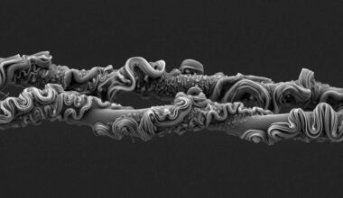 ‘Mesmerising’ close-up of spider silk threads wins Royal Society Publishing Photography Competition 2025