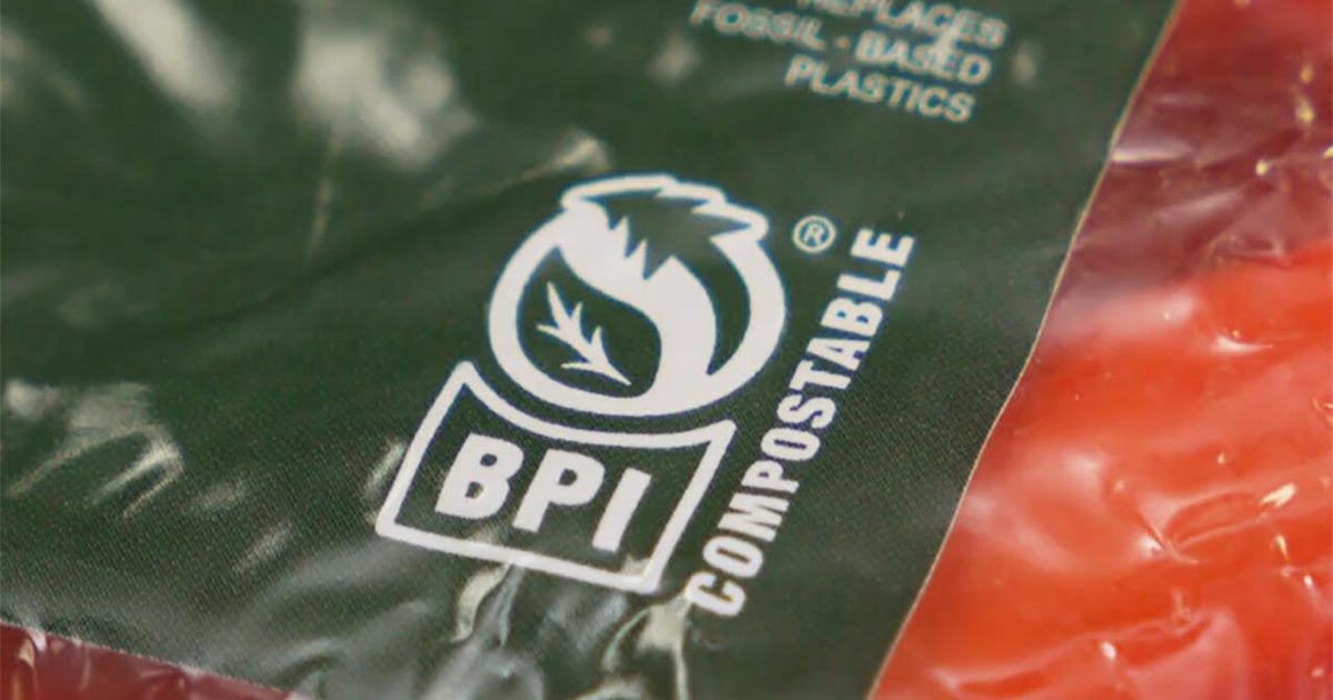 Good news you may have missed in 2025