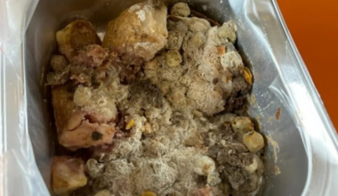 Provider cleared over mouldy school lunches