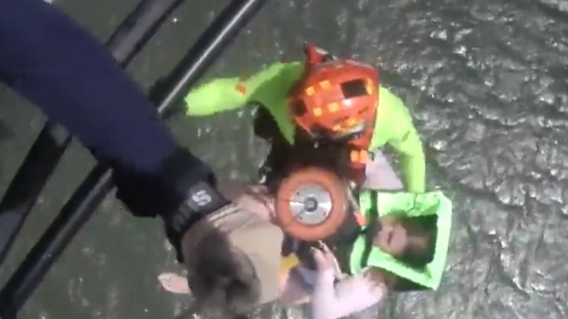 Two paddleboarders saved after being swept across Port Phillip Bay