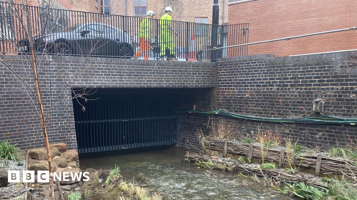 There is a section of flowing river with reeds along the banks as it flows towards a bridge with a black iron gate