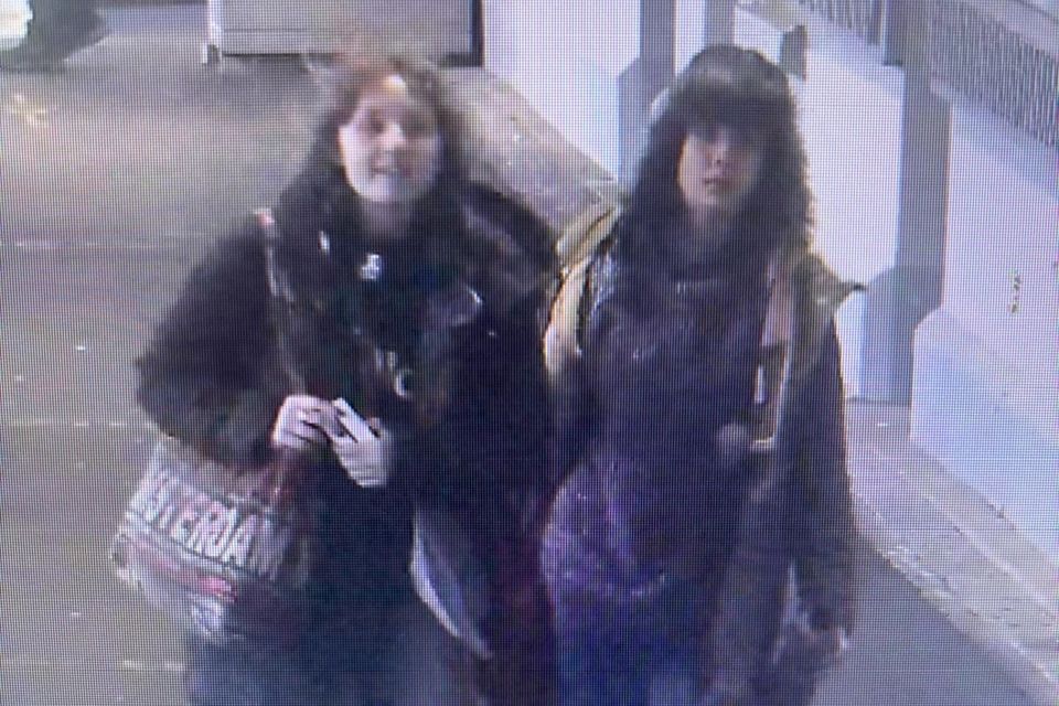 Julia and Sadie seen at Heuston Station on December 18. Photo: An Garda Síochána