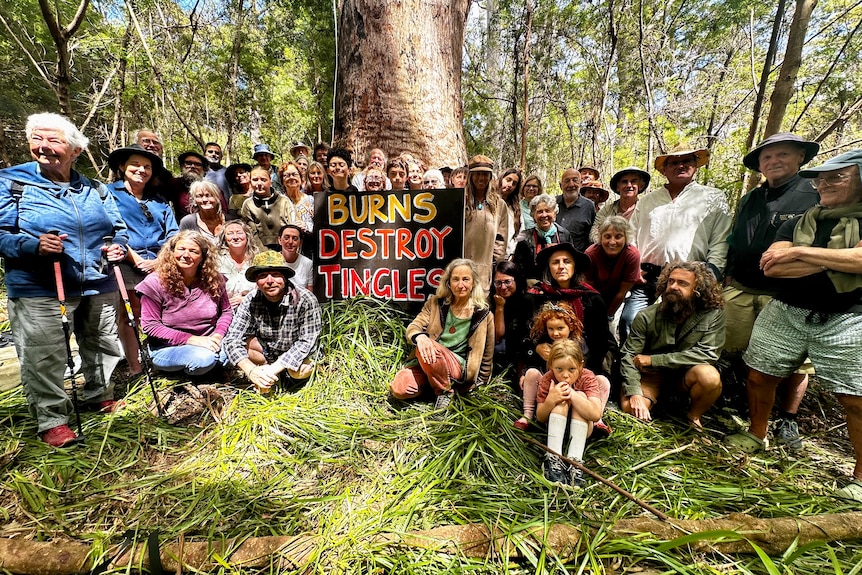 A photo of more than 40 people gathered in a forest around a sign that reads Burns Destroy Tingles.