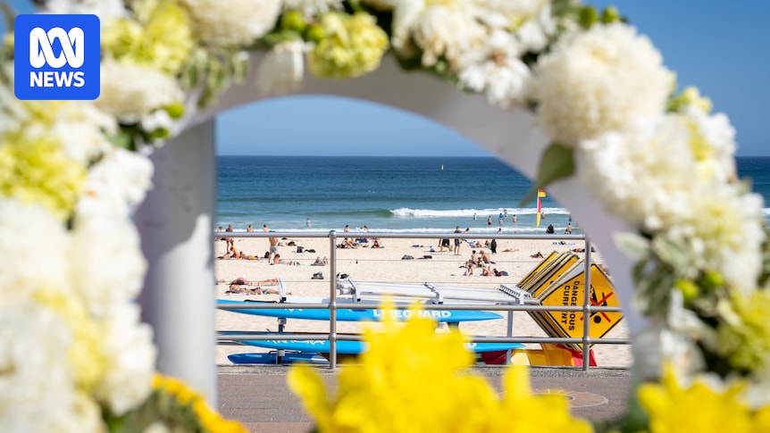 Extra $42.6 million for mental health support after Bondi terror attack