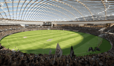 Tasmania Devils’ future hinges on upper house vote