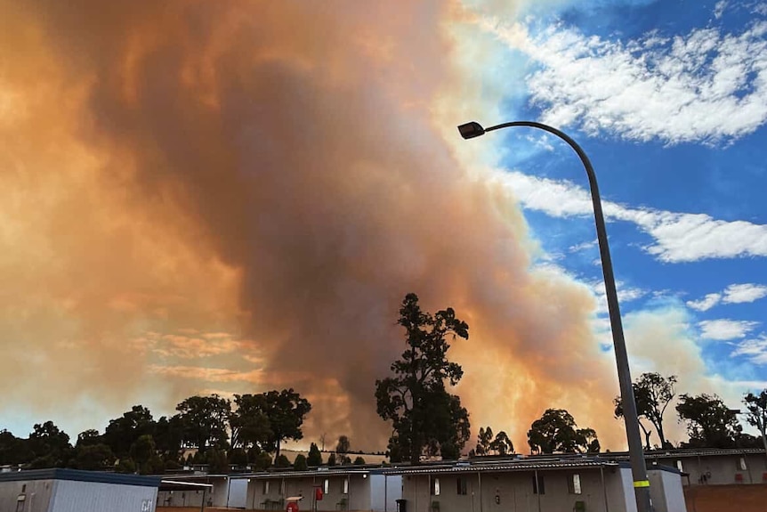 Orange haze and smoke from behind a forest and sheds.