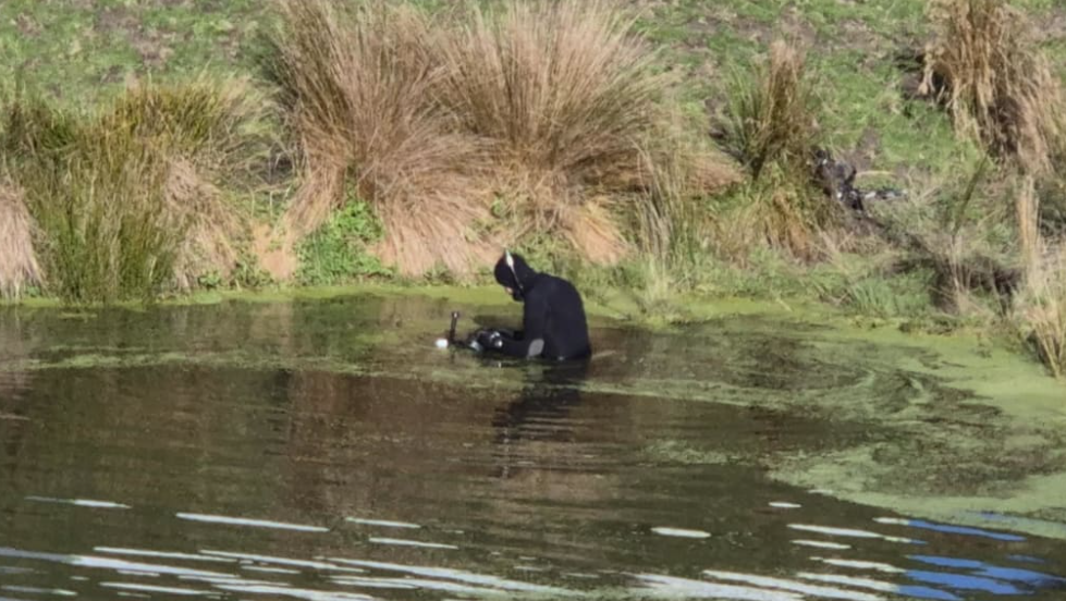 Mum's pleas unanswered before boy found in pond