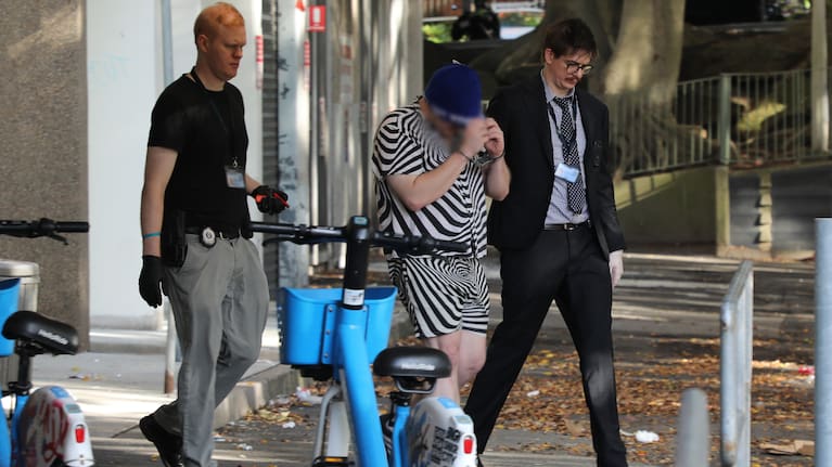 During the investigation, detectives uncovered a Sydney-based paedophile network actively involved in possessing, distributing, and facilitating this material through a website administered internationally.