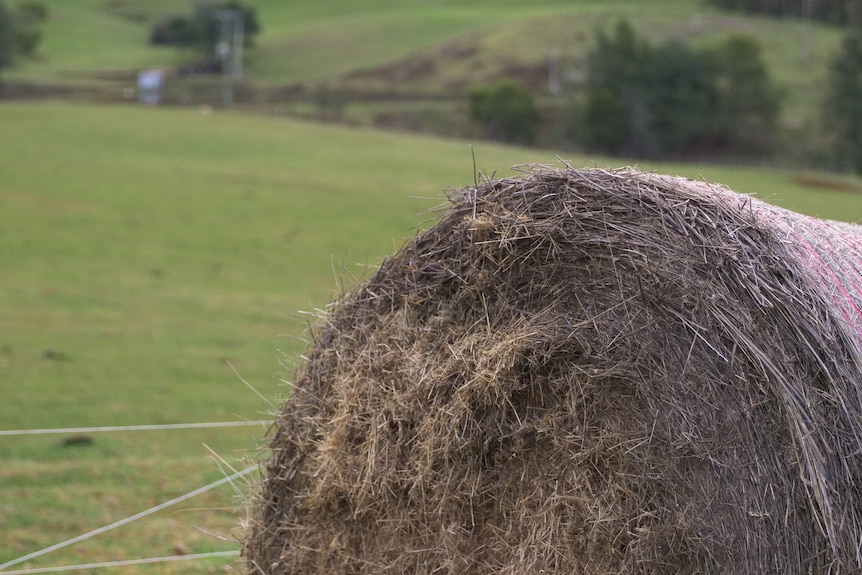 Close up of single hay bale sitting next to greenish pasture