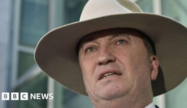 Former Australian deputy PM joins anti-immigration party One Nation
