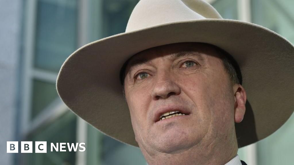 Former Australian deputy PM joins anti-immigration party One Nation