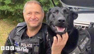 Tributes to fearless award-winningWest Midlands Police dog Stark