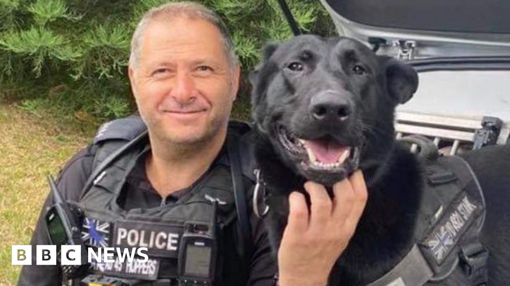 Tributes to fearless award-winningWest Midlands Police dog Stark
