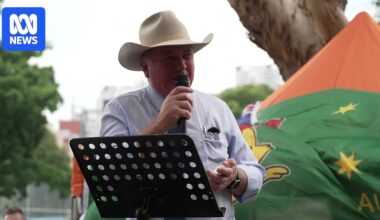One Nation MP Barnaby Joyce calls for PM to be removed from role
