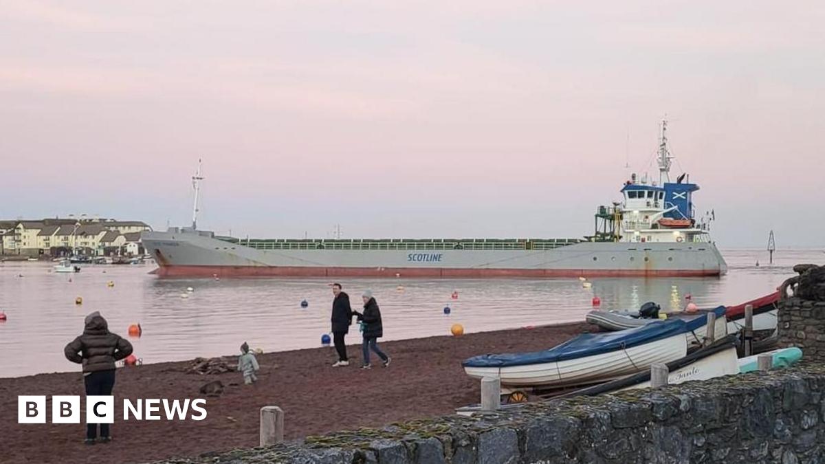 A large silver cargo ship called Scot Pioneer is seen in the water in Teignmouth Harbour. Three adults a small child are seen in the foreground on the beach at Shaldon.