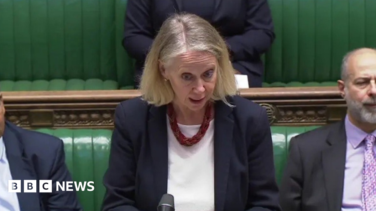 Liz McInnes, wearing a blue jacket, white top and red necklace, speaks in the House of Commons