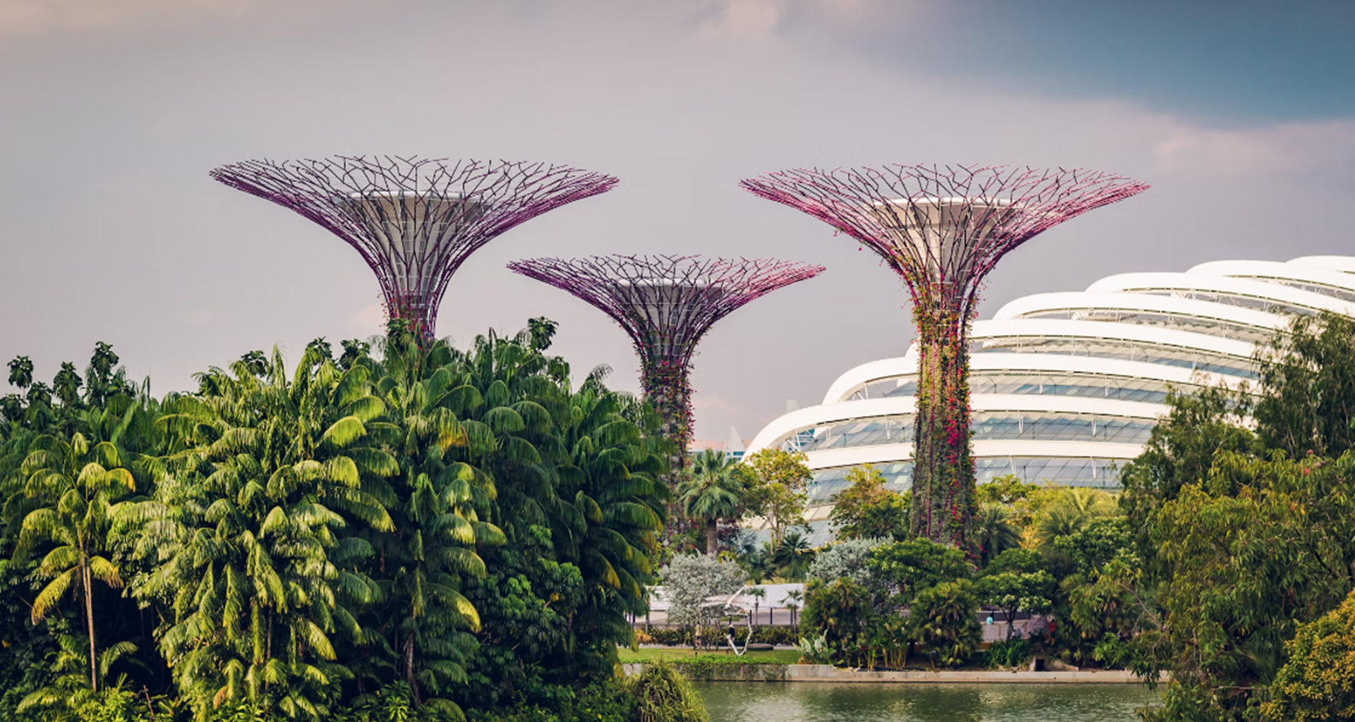 Weiyi Tan elected member of Association of Certified Fraud Examiners’ (ACFE) Board of Regents : Clyde & Co