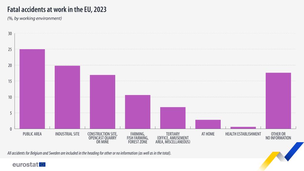 Fatal accidents at work in the EU, 2023 (%, by working environment). Bar chart. Acess to full dataset below. 