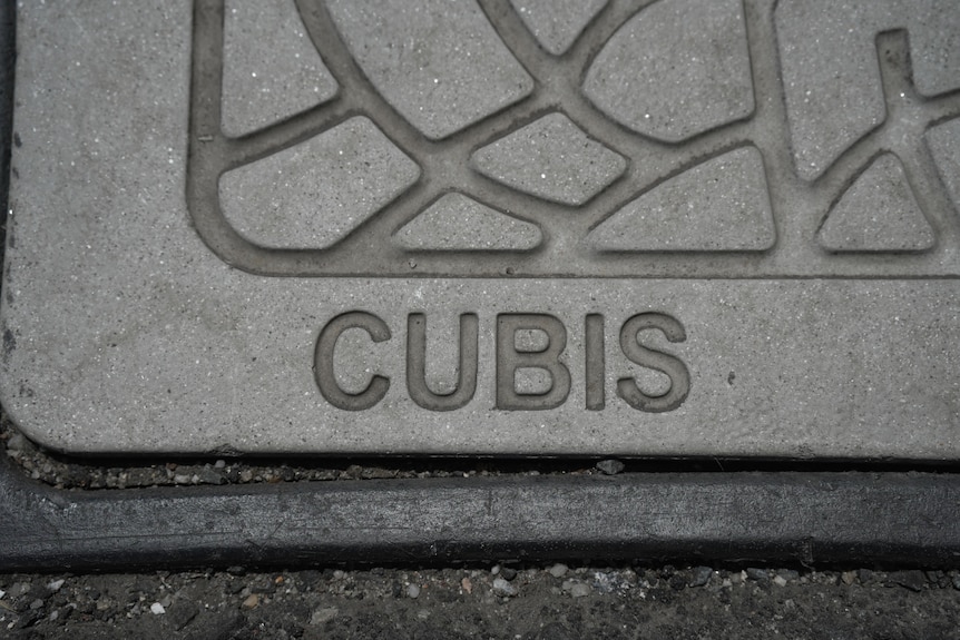Cubis manhole