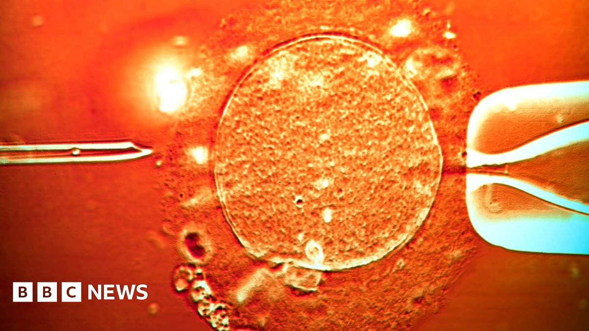 A promo promoting the News Daily newsletter - a graphic of an orange sphere with two concentric crescent shapes around it in a red-orange gradient, like a sound wave.