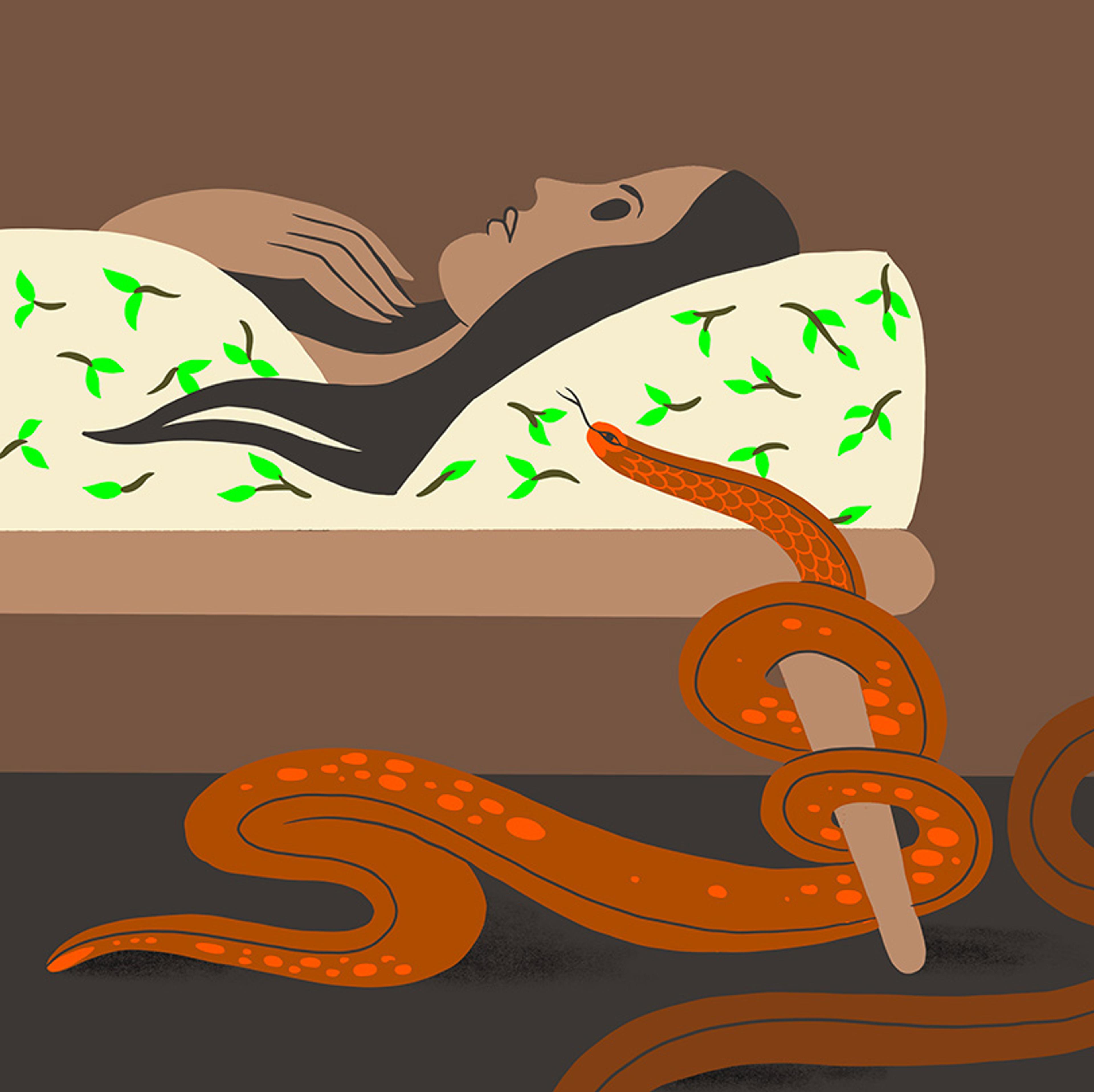 Illustration of a person asleep in bed with a snake coiled around a bedpost below, bedding has green leaf pattern.