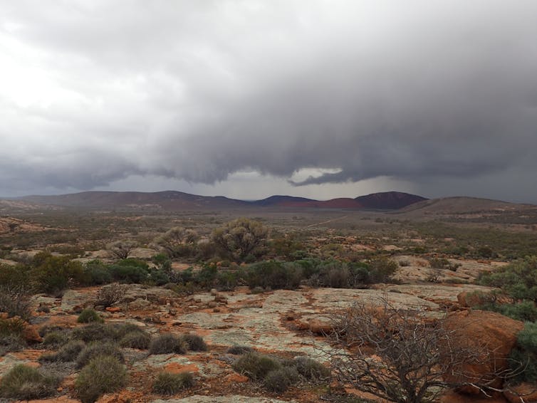 Desert landscape with exposed granite outcrops, low shrubbery and rolling hills in the background. Heavy grey storm clouds can be seen on the horizon.