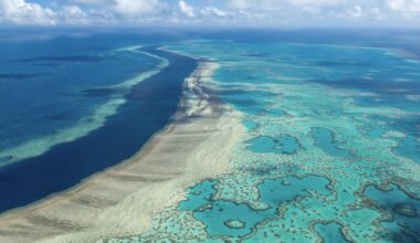 Coral reefs have orchestrated Earth’s climate for 250 million years