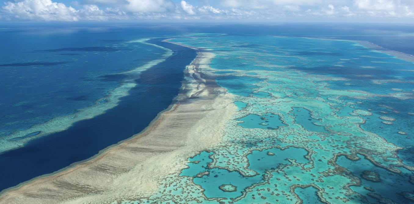 Coral reefs have orchestrated Earth’s climate for 250 million years