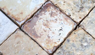 We think of mushrooms as food. But mycelium-based blocks could be the future of construction