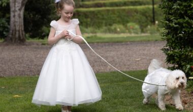 Albanese’s wedding guestlist a mudmap to his inner power sanctum