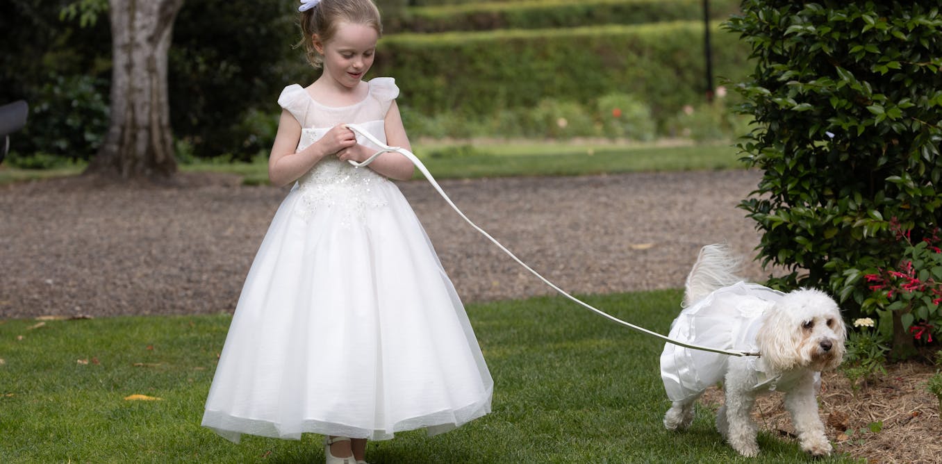 Albanese’s wedding guestlist a mudmap to his inner power sanctum