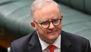 Labor gains in Resolve poll as DemosAU poll has One Nation winning 12 House seats