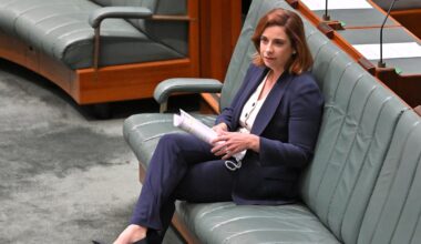 Anika Wells refers herself to independent watchdog over expenses affair
