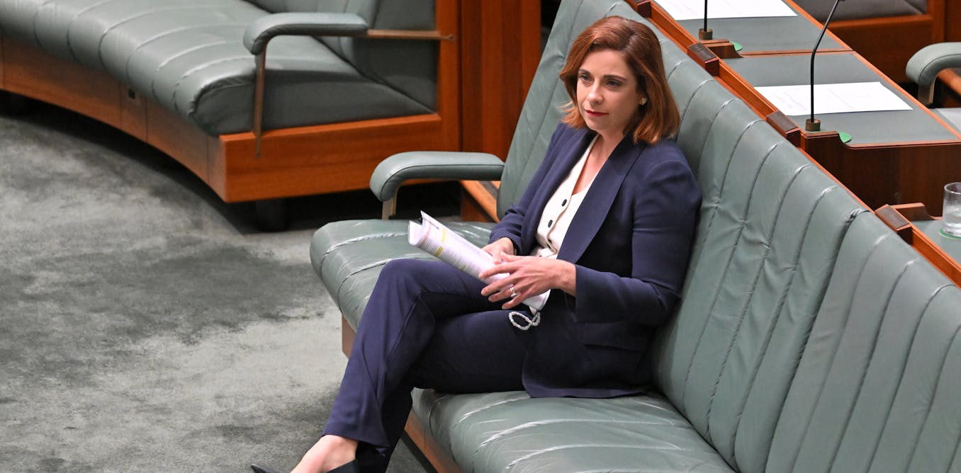 Anika Wells refers herself to independent watchdog over expenses affair