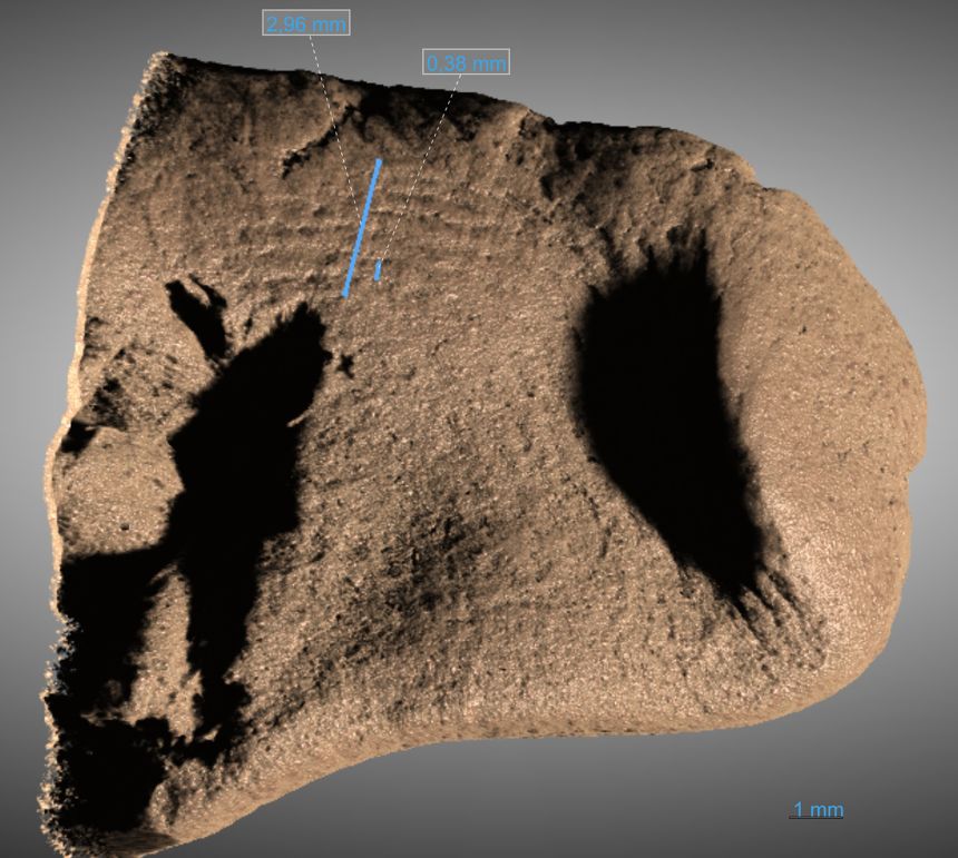 A partial human fingerprint was found on tar fragments. A high-resolution X-ray tomography scan of the fingerprint region is shown.